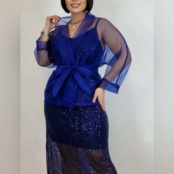 Elegant Blue Sheer Tunic Top - Picture 4 of 5